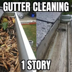 Gutter Cleaning, 1-Story, Residential Gutter Cleaning, Kansas City Metro Area
